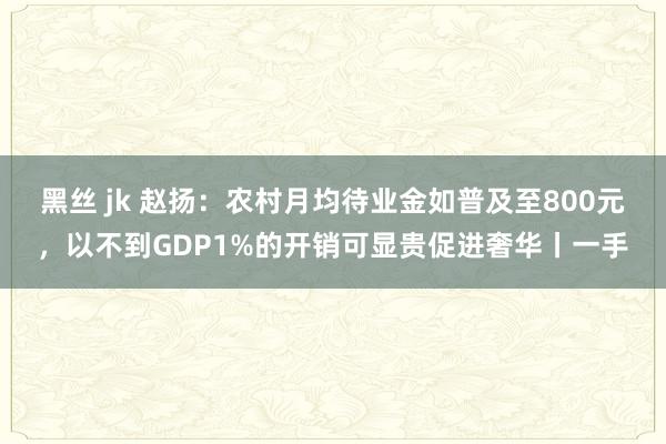 黑丝 jk 赵扬：农村月均待业金如普及至800元，以不到GDP1%的开销可显贵促进奢华丨一手