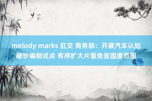 melody marks 肛交 商务部：开展汽车认知破钞编削试点 有序扩大片面免签国度范围