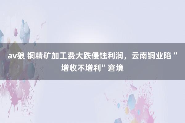 av狼 铜精矿加工费大跌侵蚀利润，云南铜业陷“增收不增利”窘境
