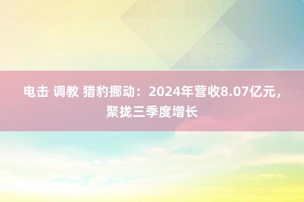 电击 调教 猎豹挪动：2024年营收8.07亿元，聚拢三季度增长