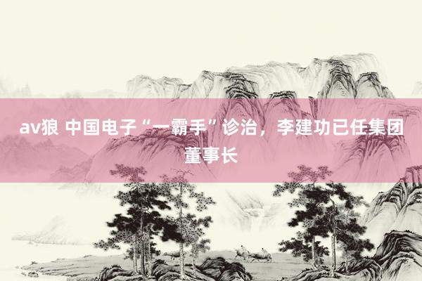 av狼 中国电子“一霸手”诊治，李建功已任集团董事长