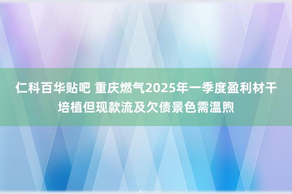 仁科百华贴吧 重庆燃气2025年一季度盈利材干培植但现款流及欠债景色需温煦