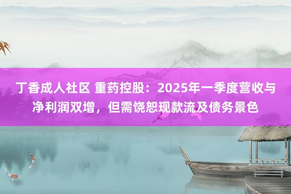丁香成人社区 重药控股：2025年一季度营收与净利润双增，但需饶恕现款流及债务景色
