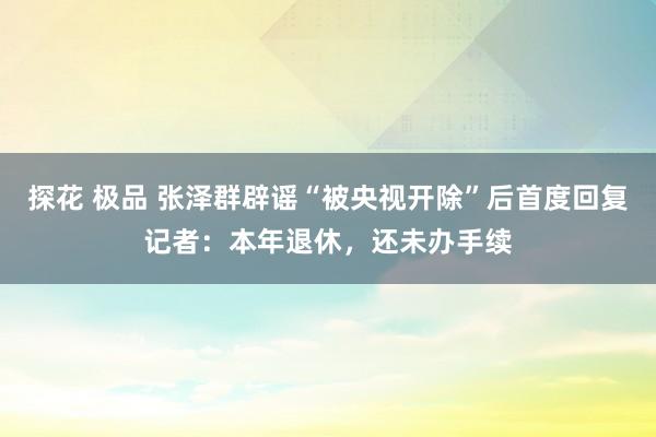 探花 极品 张泽群辟谣“被央视开除”后首度回复记者：本年退休，还未办手续